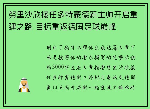 努里沙欣接任多特蒙德新主帅开启重建之路 目标重返德国足球巅峰 努里沙欣接任多特蒙德新主帅开启重建之路 目标重返德国足球巅峰